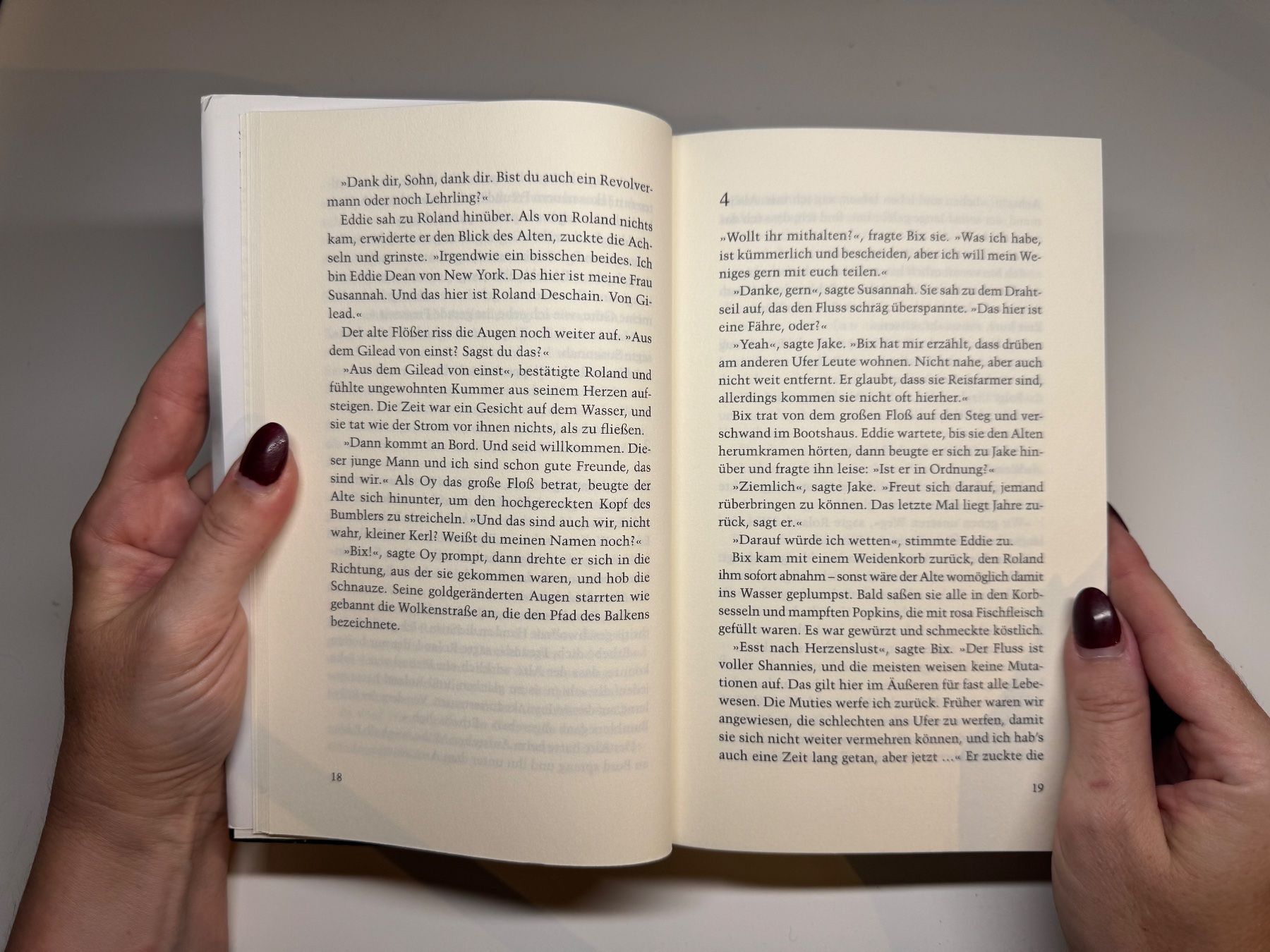 Libri: ROMAN: Stephen King, Wind – Usato da Grosswangen venduto da Deutsche_Romane 4