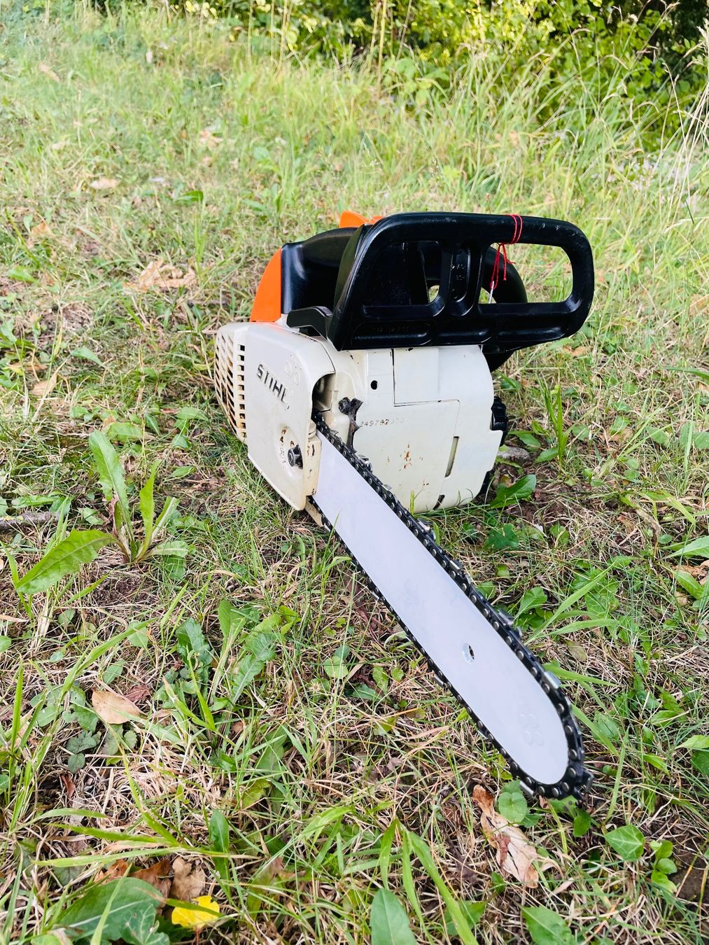 Stihl Scies: Motorsäge Stihl MS 190 T – D'occasion à Dietikon par L.L_GmbH
