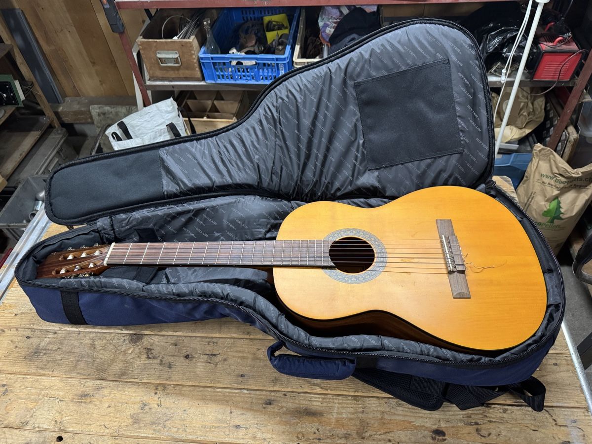 Strumenti musicali: Gitarre Walden 320 TW – Usato da Brienz BE venduto da soto718 5
