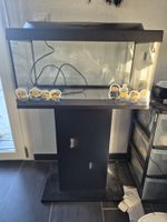 Minions 54L Aquarium-Komplettset mit Schrank & JBL Pumpe
