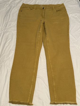 Neue Jeans occer farben Grösse 44 mit Stretch