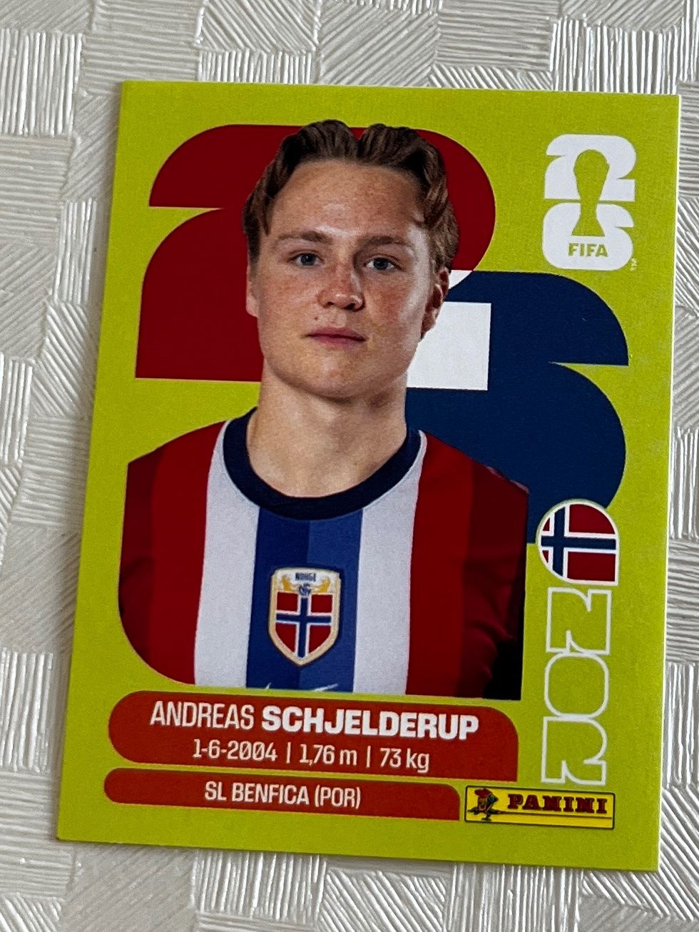 Panini Carte collezionabili: Panini Fifa World Cup 2026 NOR 12 – Usato da Winterthur venduto da Numero1