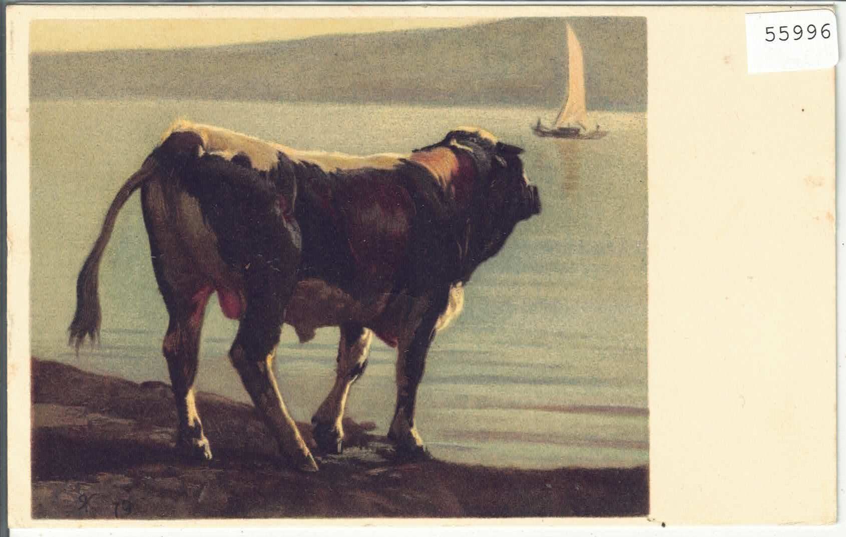 Cartes postales: Pro Juventute - Rudolf Koller - Schwarzfleck Stier – D'occasion à Ettingen par Kartenplanet