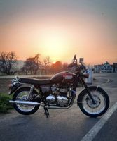 Triumph Bonneville T100