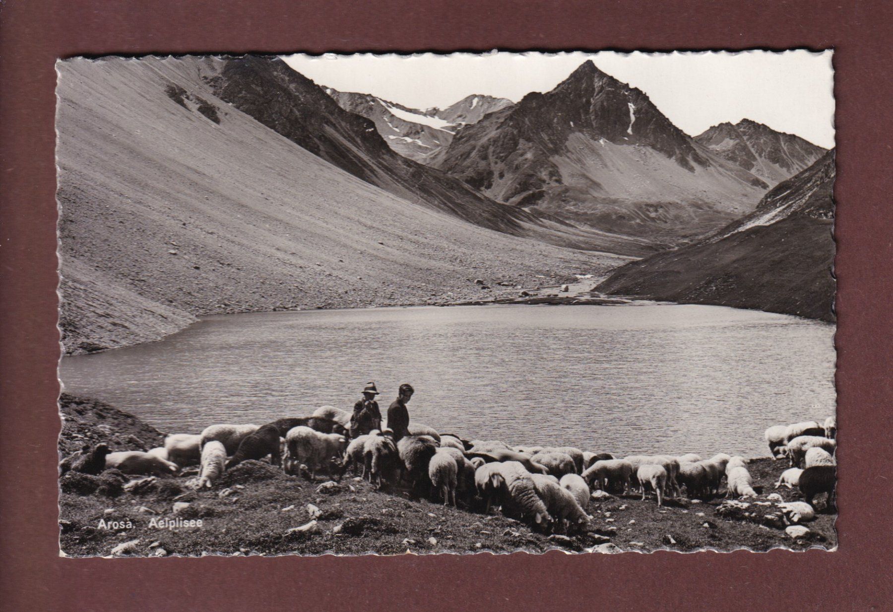 Cartoline postali: AROSA - Aelplisee - Schafherde – Usato da Pully venduto da nicecards-shop