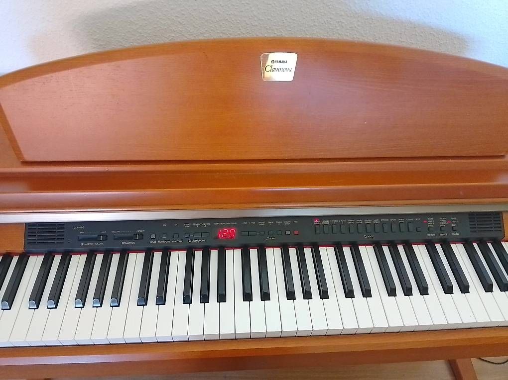 Strumenti musicali: Yamaha E-Piano – Usato da Zürich venduto da DonikaI 1