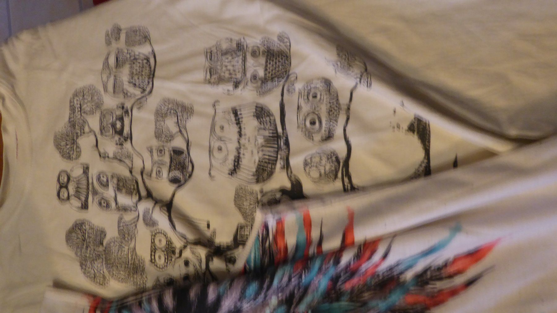 Lotti di vestiti: 4 schöne Tshirt EULEN MOTIV Gr S – Usato da Sargans venduto da Benziner 5