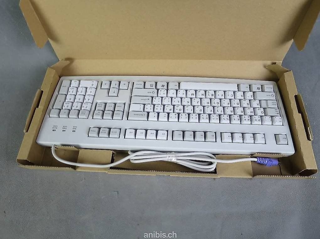 Tastiere: Cherry RS 6000 M, PS2 – Usato da Zürich venduto da 1.Simon 2