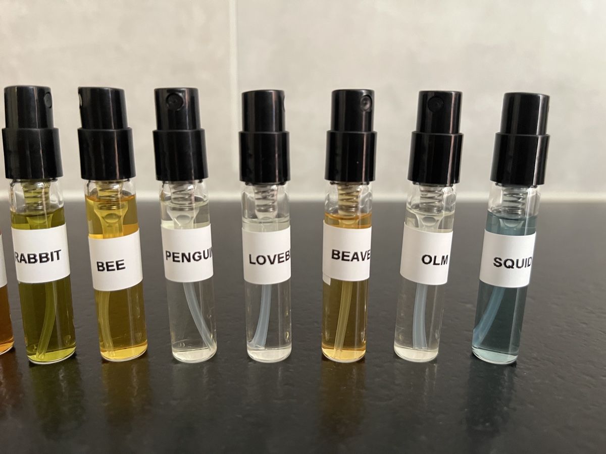 Profumi & Eau de Toilette: Zoologist Perfumes Sample Set – Nuovo (secondo la descrizione) da Nyon venduto da Brocante2000 1