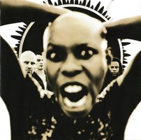 CD - Skunk Anansie - Stoosh