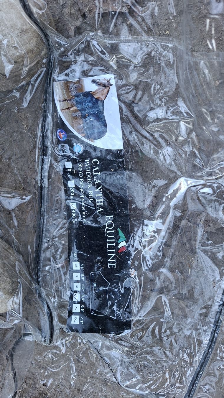 Coperte: Coperta Decken Equiline 400gr – Nuovo (secondo la descrizione) da Losone venduto da sof.05 4