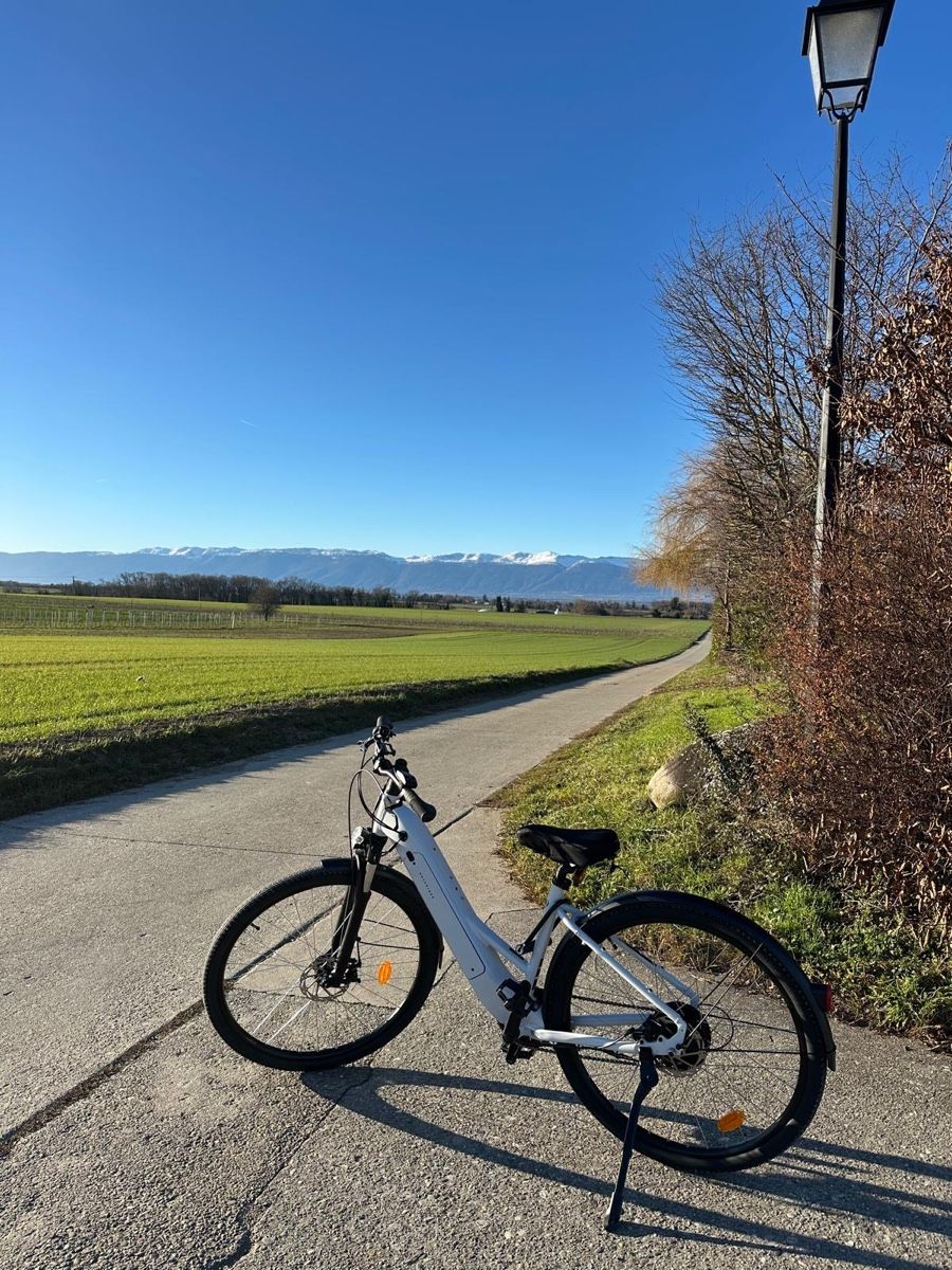 Biciclette: Vélo électrique comme neuf  – Nuovo (secondo la descrizione) da Chernex venduto da sif_6s8x 7