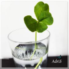 Profile image of AdriS-8_sammelsurium