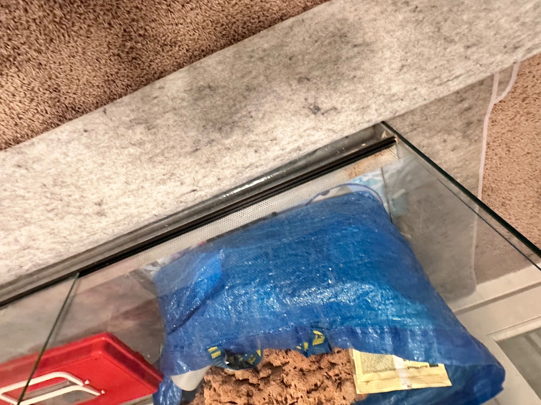Terrarium: Terrarium / Nagerkäfig – Gebraucht aus Erlenbach ZH von cassi123 3