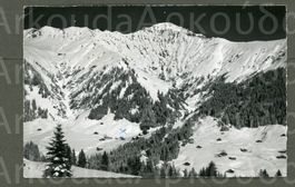 AK sw Adelboden BE Stiegelschwand, Schermtanne, Gsür ≈ 1964
