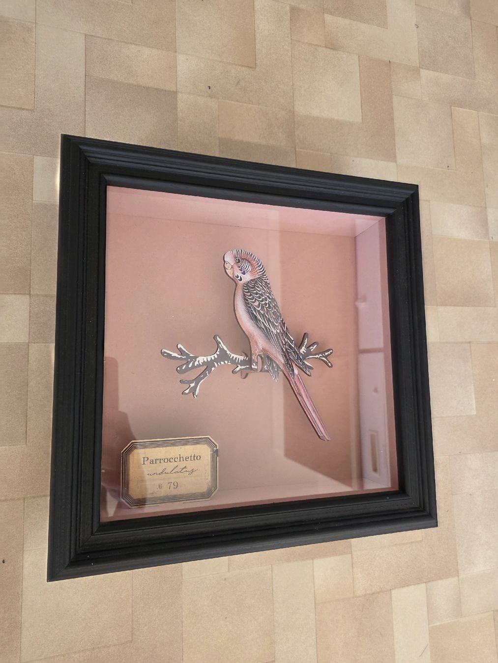Tableaux: Tableau oiseau – Neuf (Voir description) à Echallens par cam_n5cl