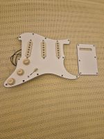 Fender stratocaster Player II Completes Schlagbrett
