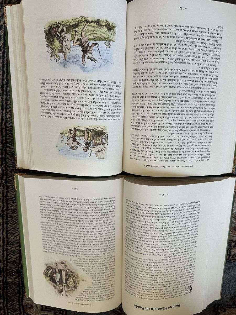 Libri: LUDWIG BECHSTEIN -Mörchenbuch -Bruder Grimm 2 Bücher – Nuovo (secondo la descrizione) da Uster venduto da bek_v2ct 7