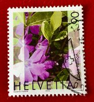 Nr.1074 Gemeines Flora,Immmergrün GESTEMPELT 2003    