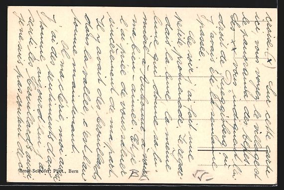 Cartes postales: Zimmerwald, Bergpanorama, Panoramen des  – D'occasion à Berlin par bartko-reher 1