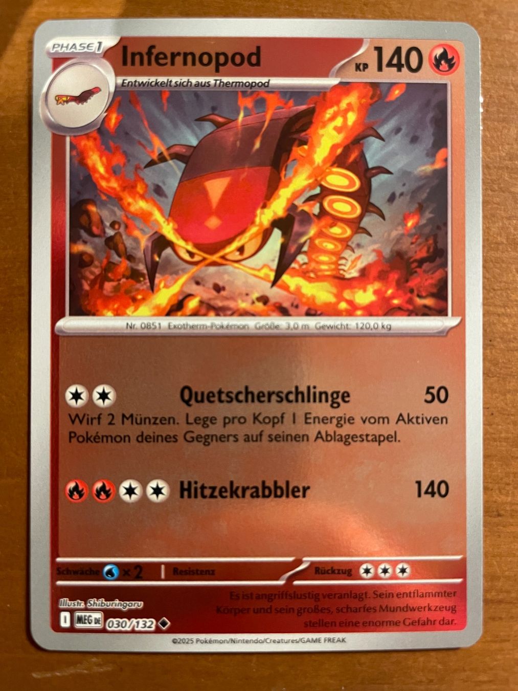 Pokémon Carte collezionabili: Pokemon Infernopod Reverse (Versand gratis) – Nuovo (secondo la descrizione) da Chur venduto da Angerson