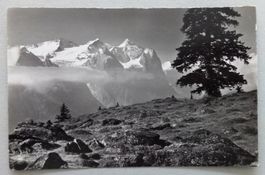 Hasliberg, Mägisalp, Wetterhörner