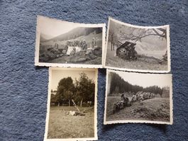 Geschütz,Soldaten,Kanone,Bauernhof,Tarnung,Stahlhelme
