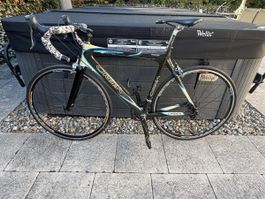 Orbea (Orca) Rennrad, Carbon, Top Zustand!