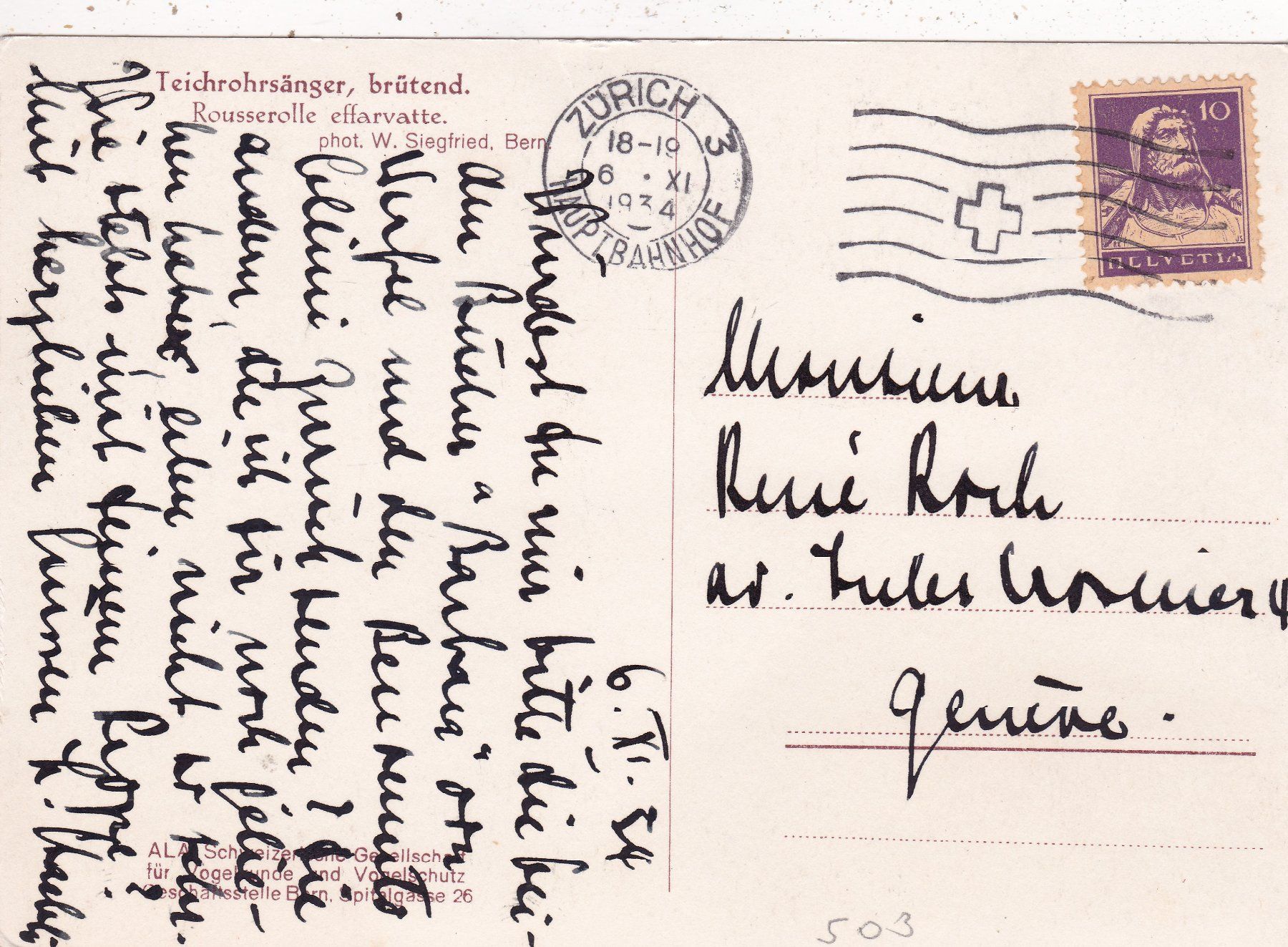 Cartes postales: Vogel Teichrohrsänger 1934 – D'occasion à Herisau par Lisegrat2008 1
