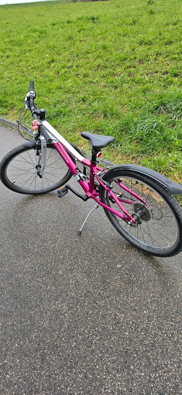 Crosswave Biciclette: Crosswave Fahrrad 31cm. – Usato da Boll venduto da jennymarti01
