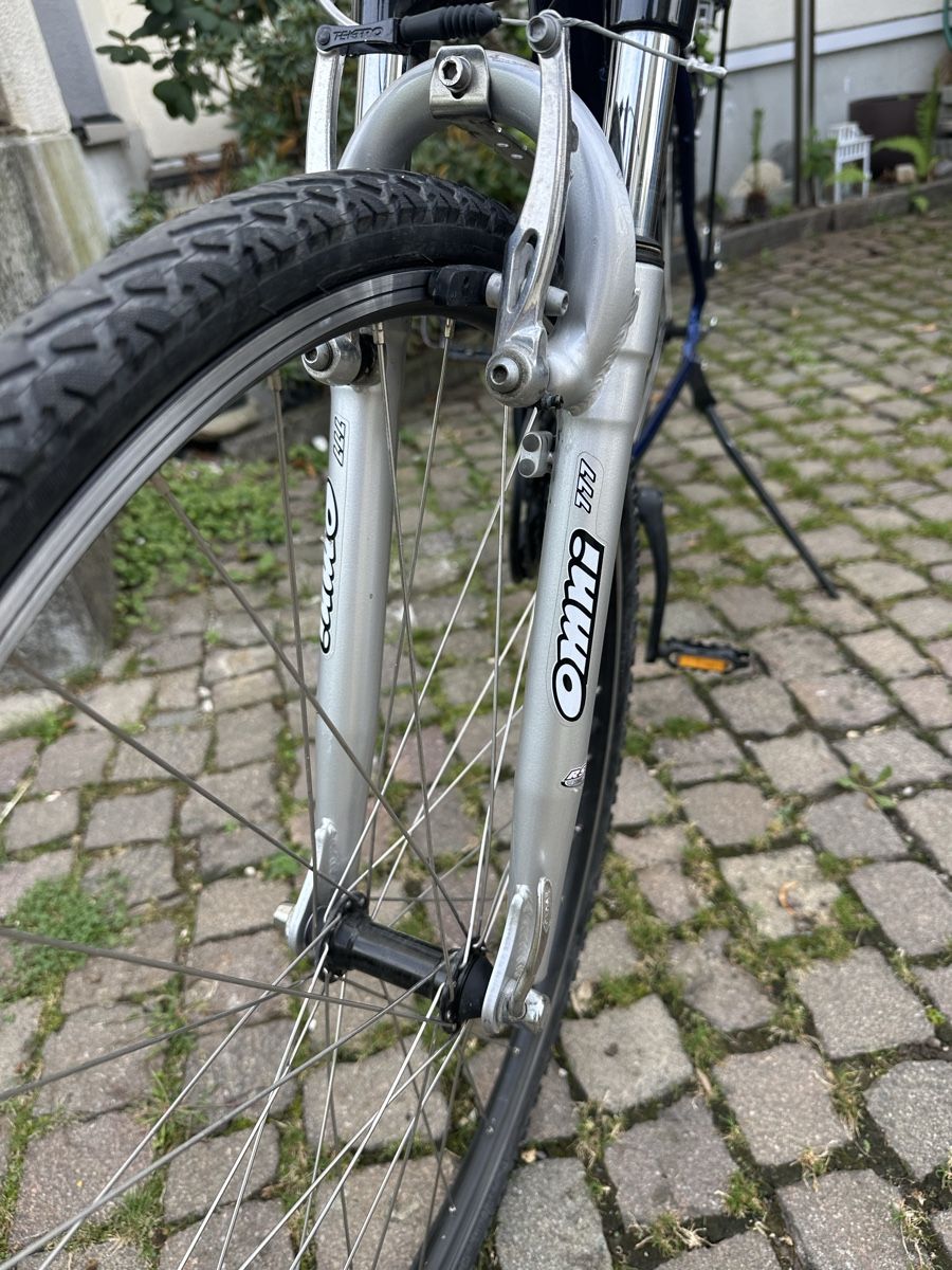Wheeler Biciclette: Fahrrad – Usato da Au ZH venduto da Gresco 3