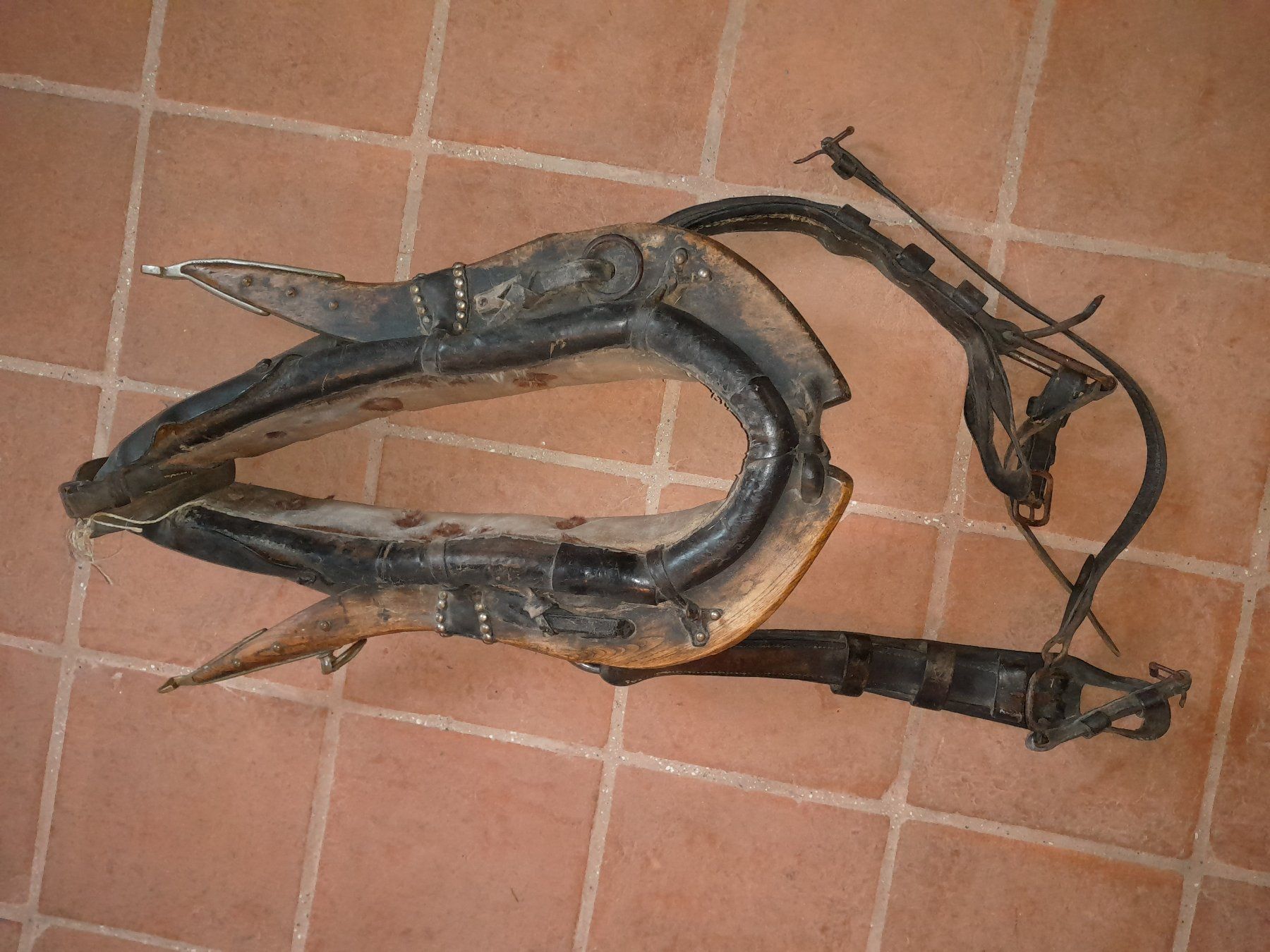 Briglie & Cavezze: Pferdekummet – Usato da Männedorf venduto da tigel19