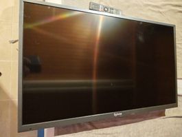 Sylvox Allwetter TV, Modell OT43A2KEGC, mit Garantie!