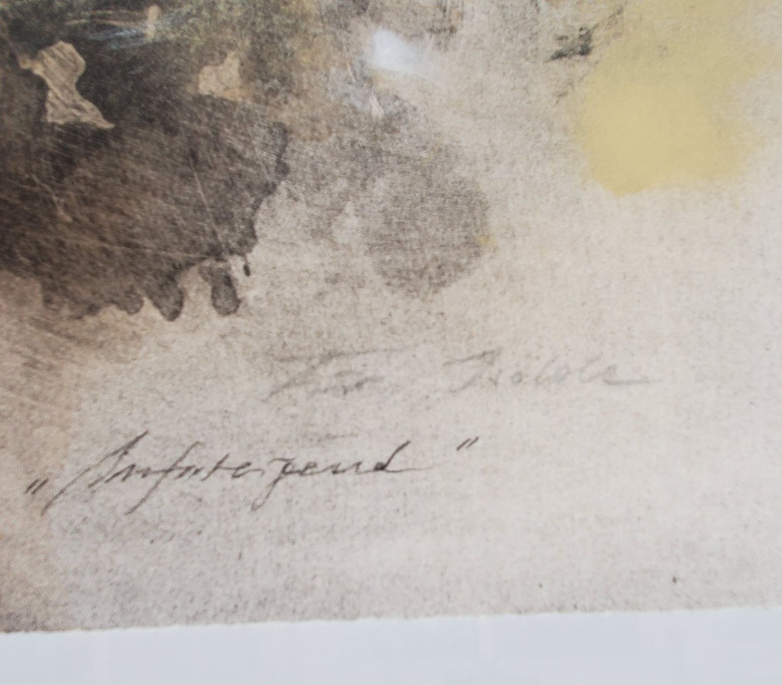 Foto & Immagini: Originale expressive Lithographie Gabriele Mierzwa – Usato da Opfikon venduto da Diversamente 3