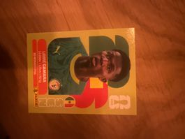 Panini