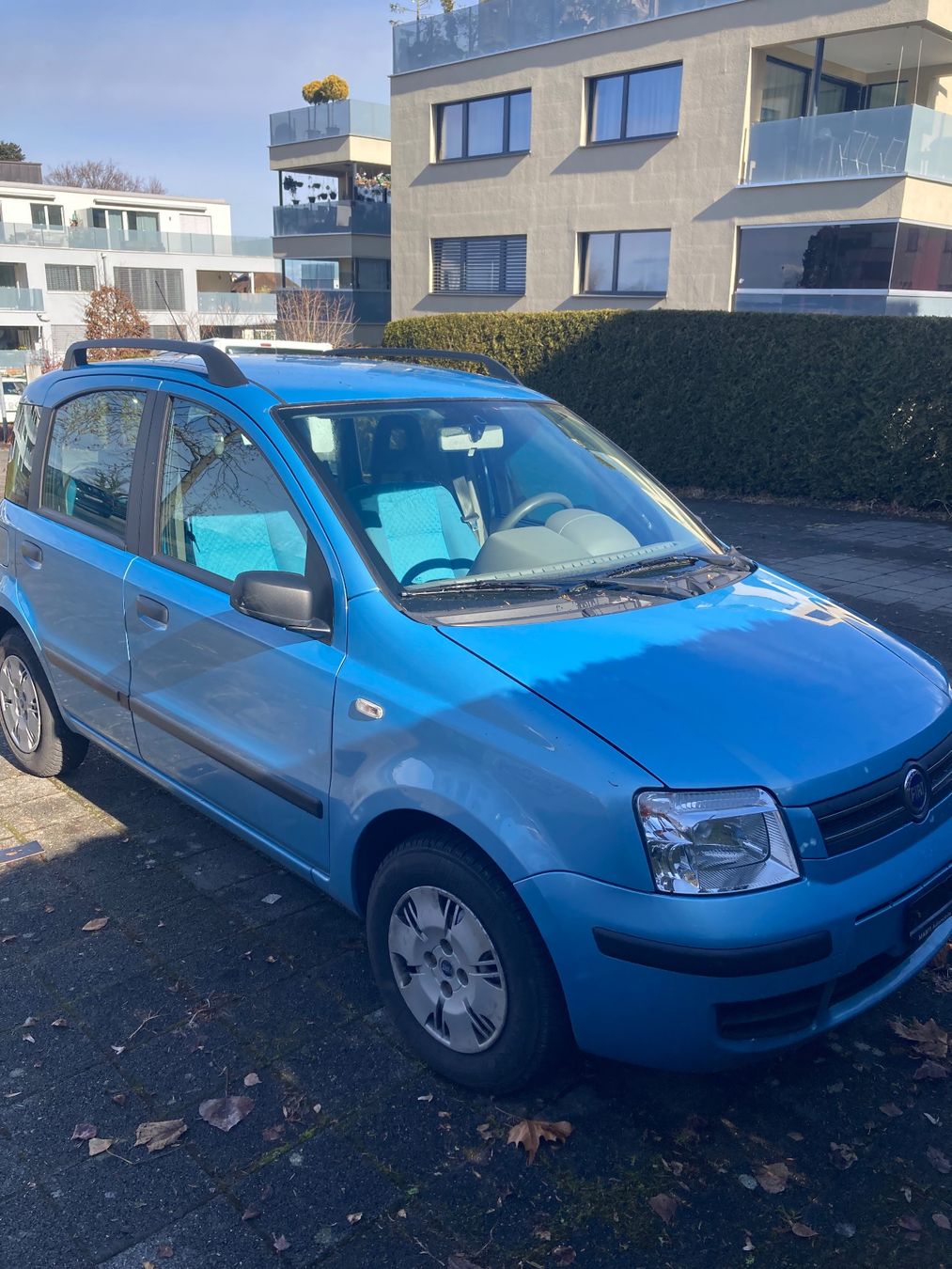 Fiat Automobili: Fiat Panda 1.2 ab MFK und Service – Usato da Rorschacherberg venduto da MonaAyu 1