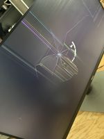 Defekter Dell Monitor - Ideal für Bastler