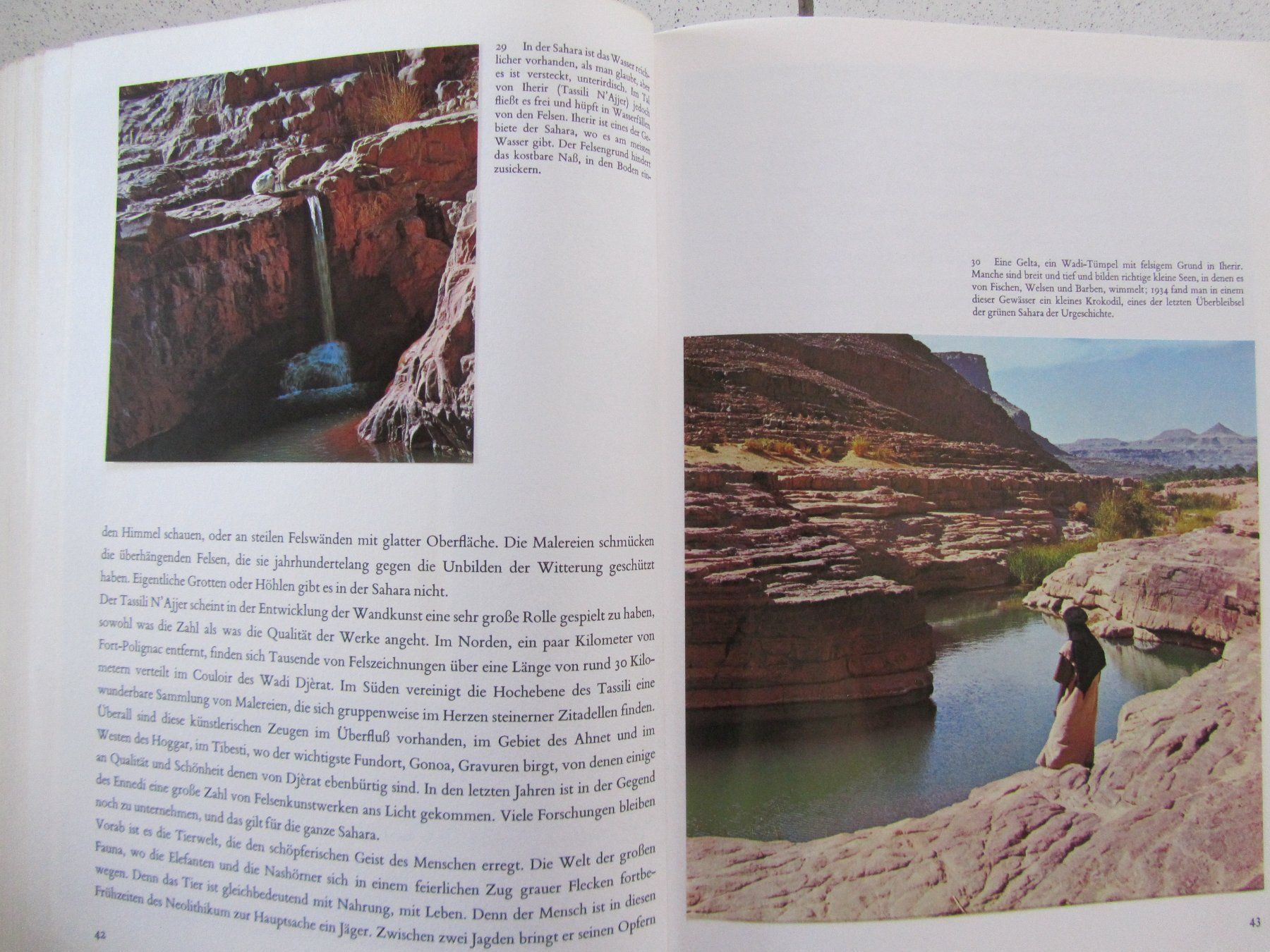 Libri: Sahara - Silva Buch von 1969 – Usato da Weiningen ZH venduto da dietsch57 6