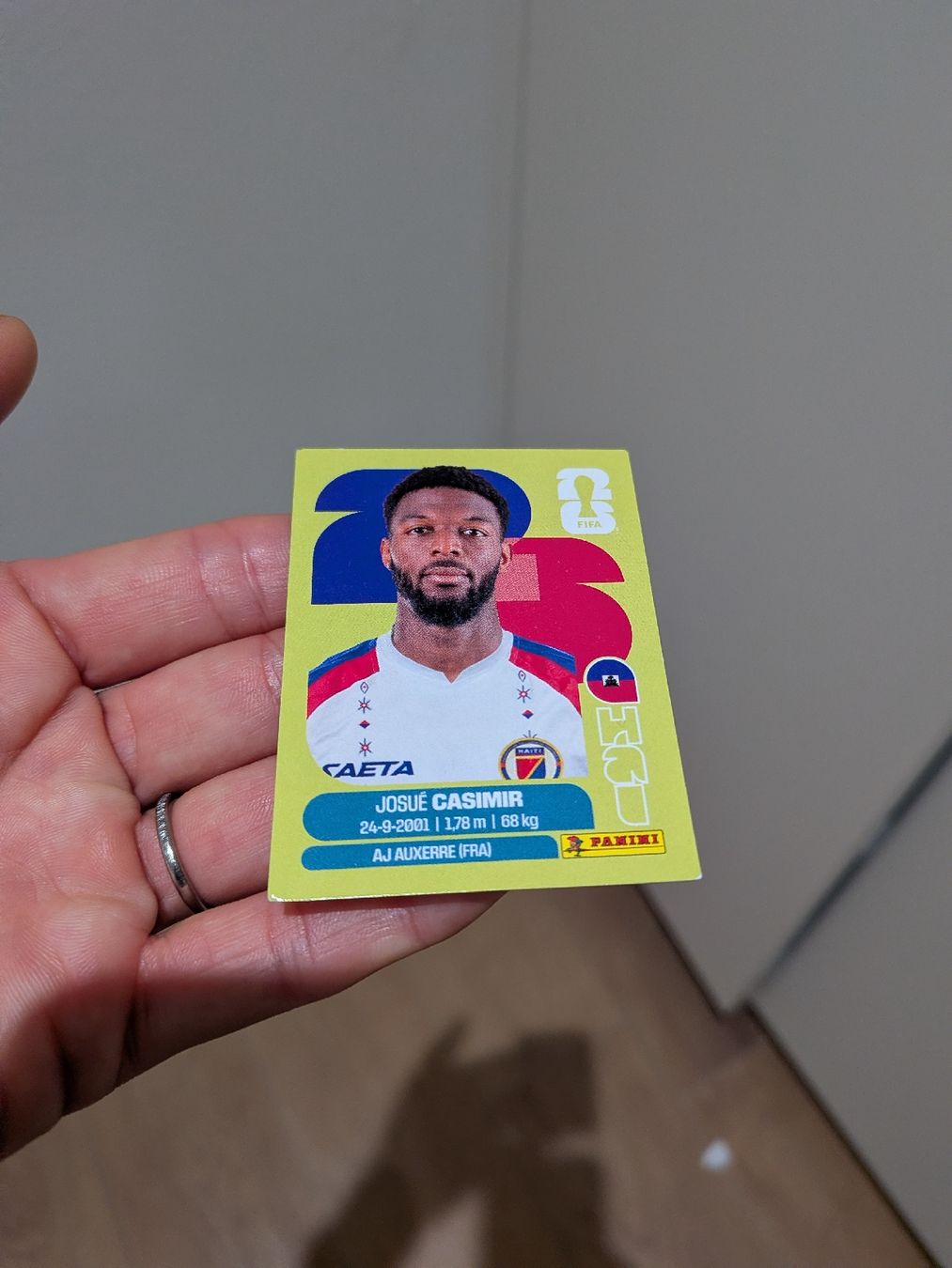 Panini Carte collezionabili: Panini Bild HAI 16 – Usato da Eschenbach SG venduto da SanFranciscoCalifornia