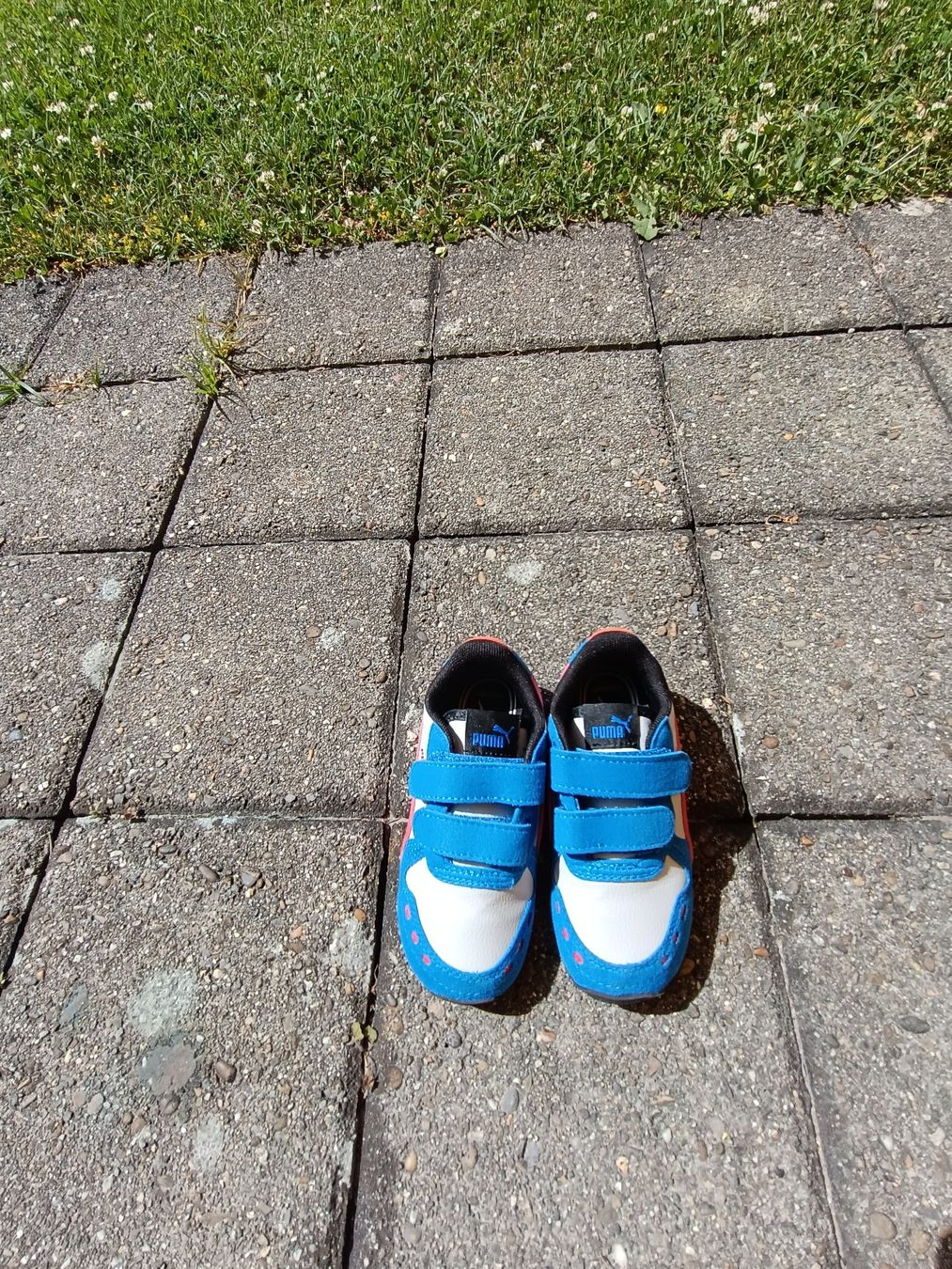 Puma Scarpe per ragazzi: neue Puma Kinderschuhe, Grösse 25 – Nuovo (secondo la descrizione) da Berikon venduto da mezzze 1