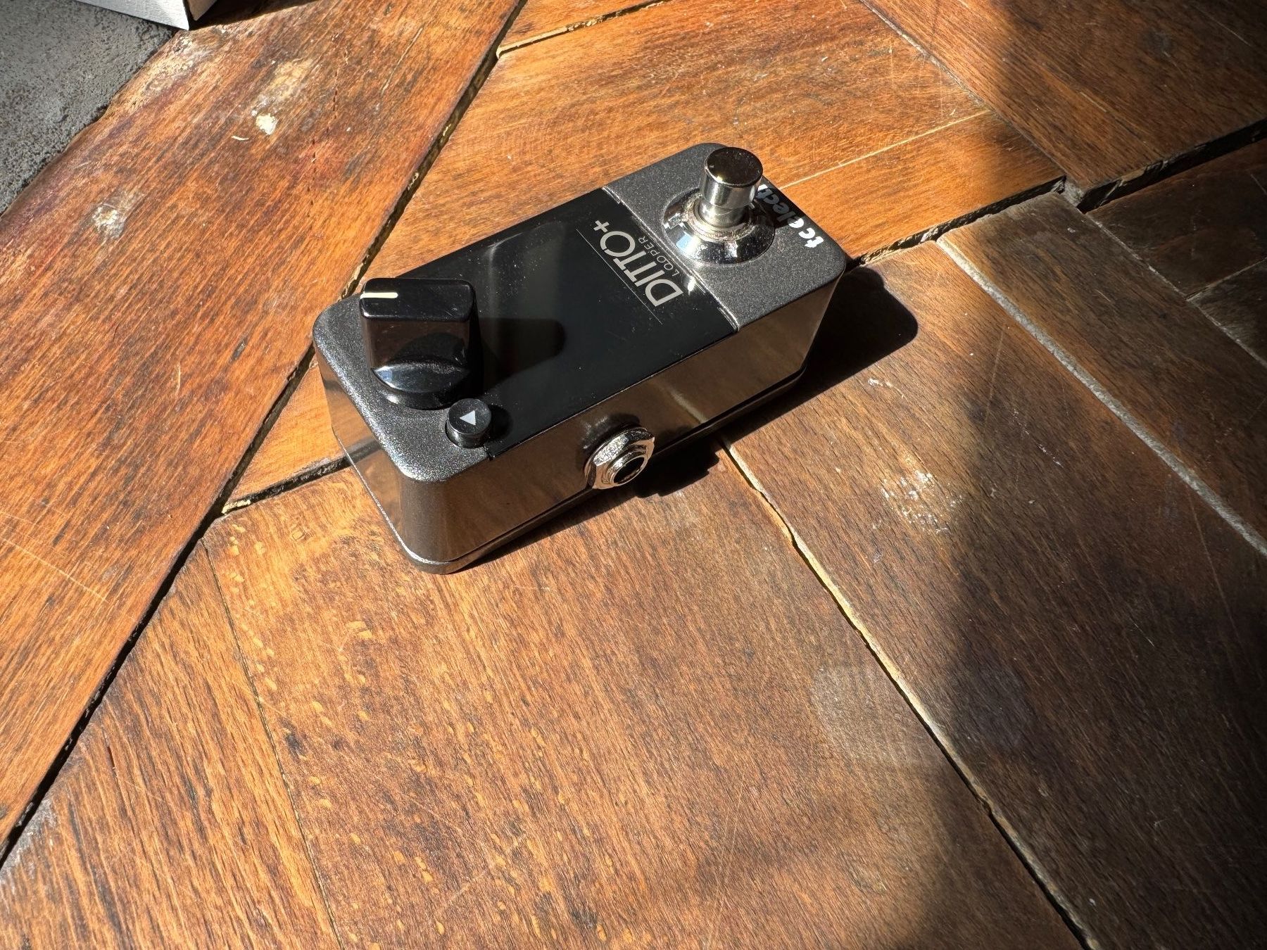 Musikinstrumente: TC Electronic Ditto+ Looper Pedal – Gebraucht aus Bern von A.W.S.R 3
