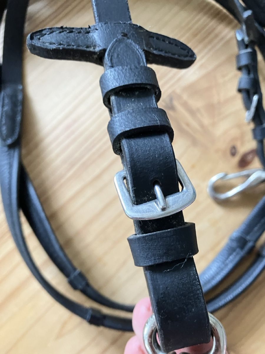 Zaumzeug & Halfter: Lederzügel schwarz mit Clips – Gebraucht aus Gränichen von  3