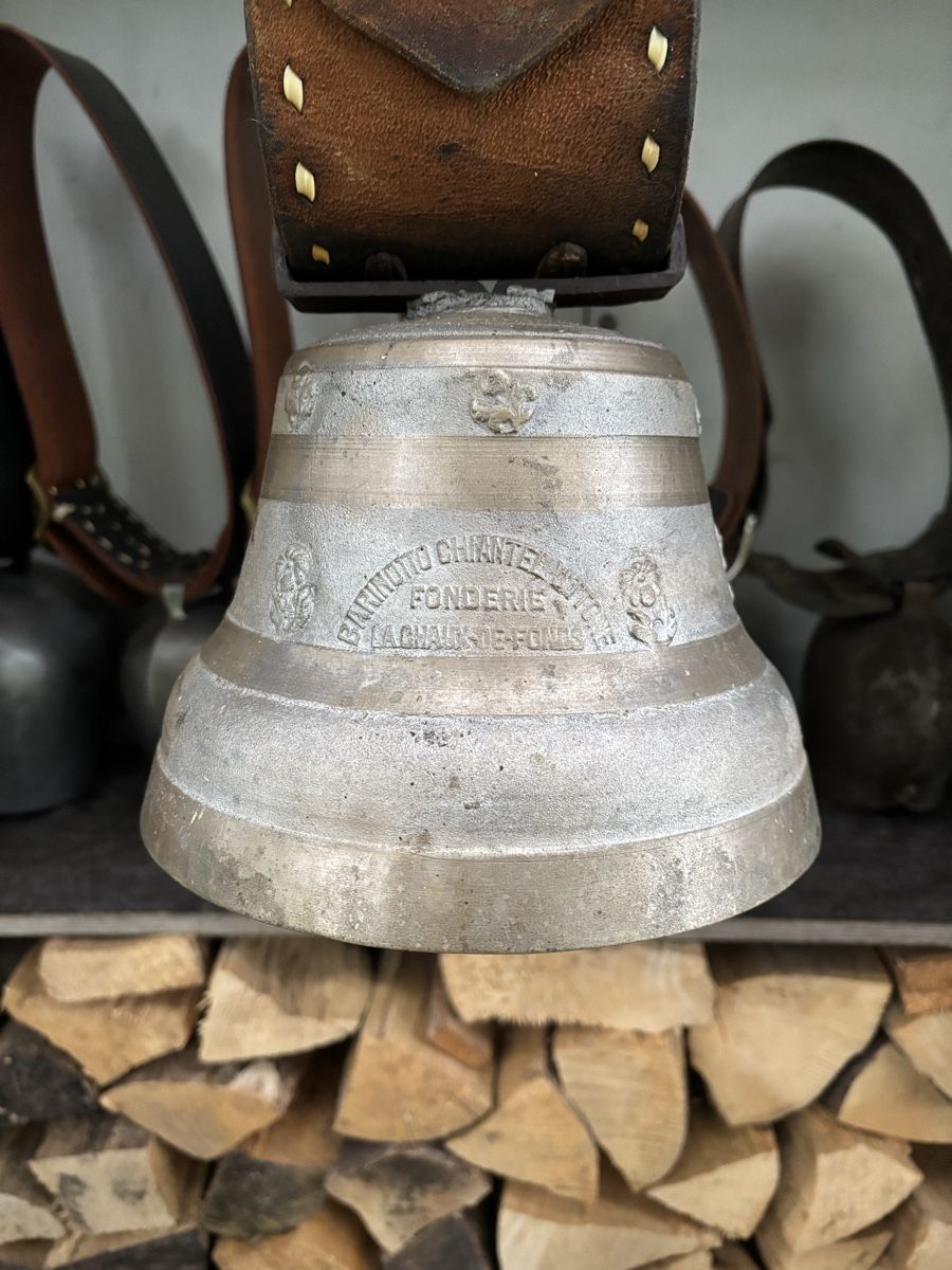 Campanacci mucche: Glocke Barinotto. – Usato da Schangnau venduto da Roseggli82 1