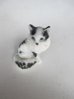 Katze 4