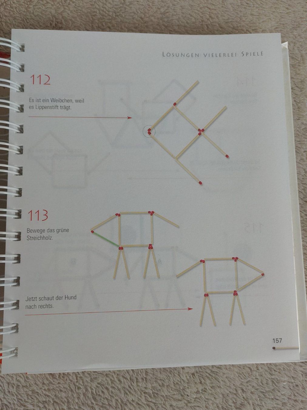 Libri: Kniffliges Streichholz Rätselbuch – Usato da Strengelbach venduto da Phorensic_30 5