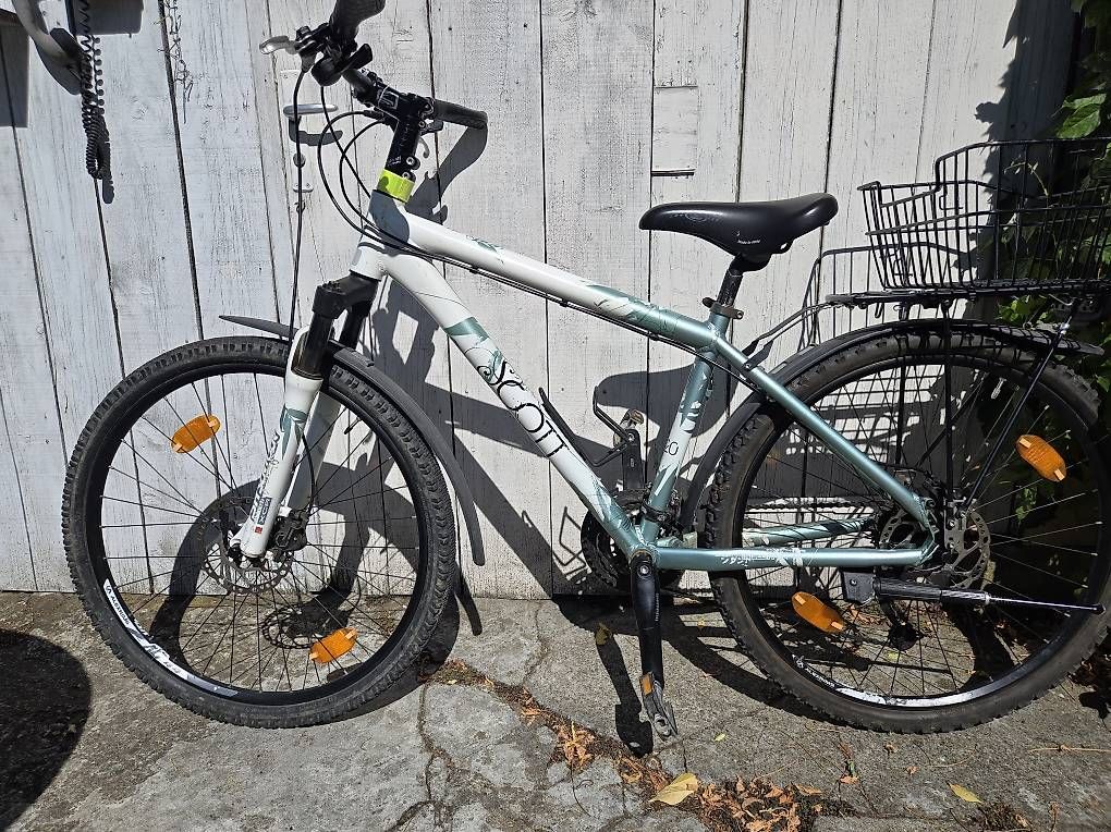 Biciclette: MTB Scott Contessa  – Usato da Biel/Bienne venduto da Rouf7 1