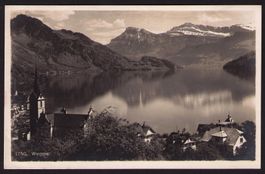 WEGGIS ca. 1930 _ Karten-Nr. 1750