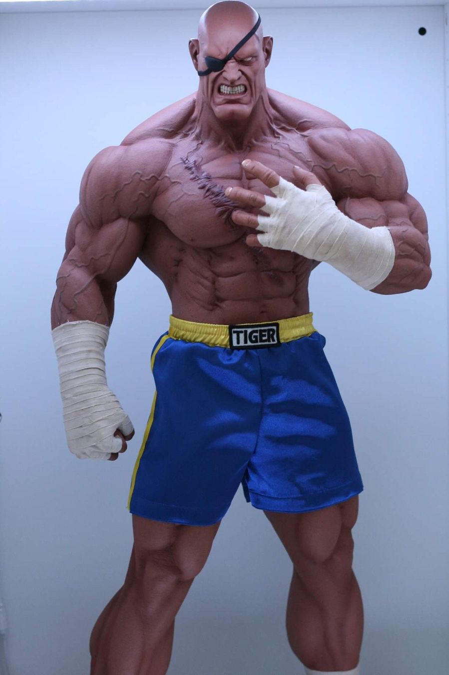 Statuette: Street Fighter Sagat – Usato da Niederrohrdorf venduto da elwey 2