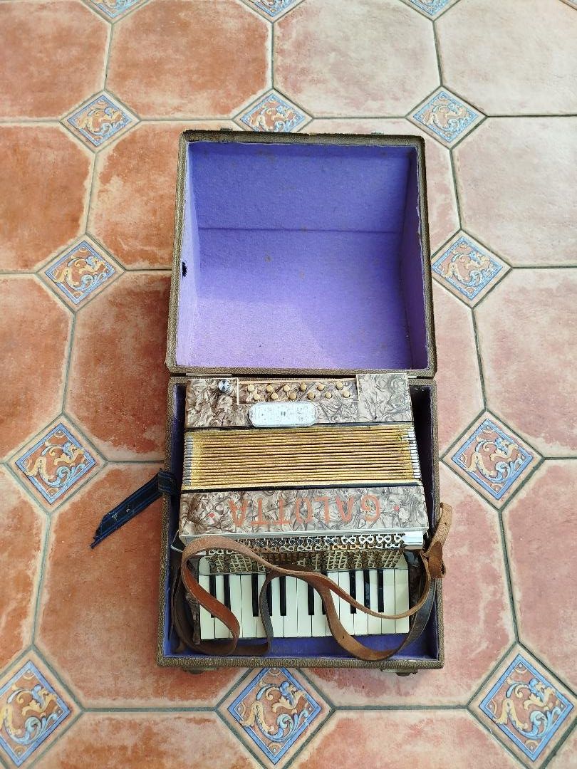 Strumenti musicali: Akkordeon Selbstspielend – Nuovo (secondo la descrizione) da Bonaduz venduto da Mikebond 4