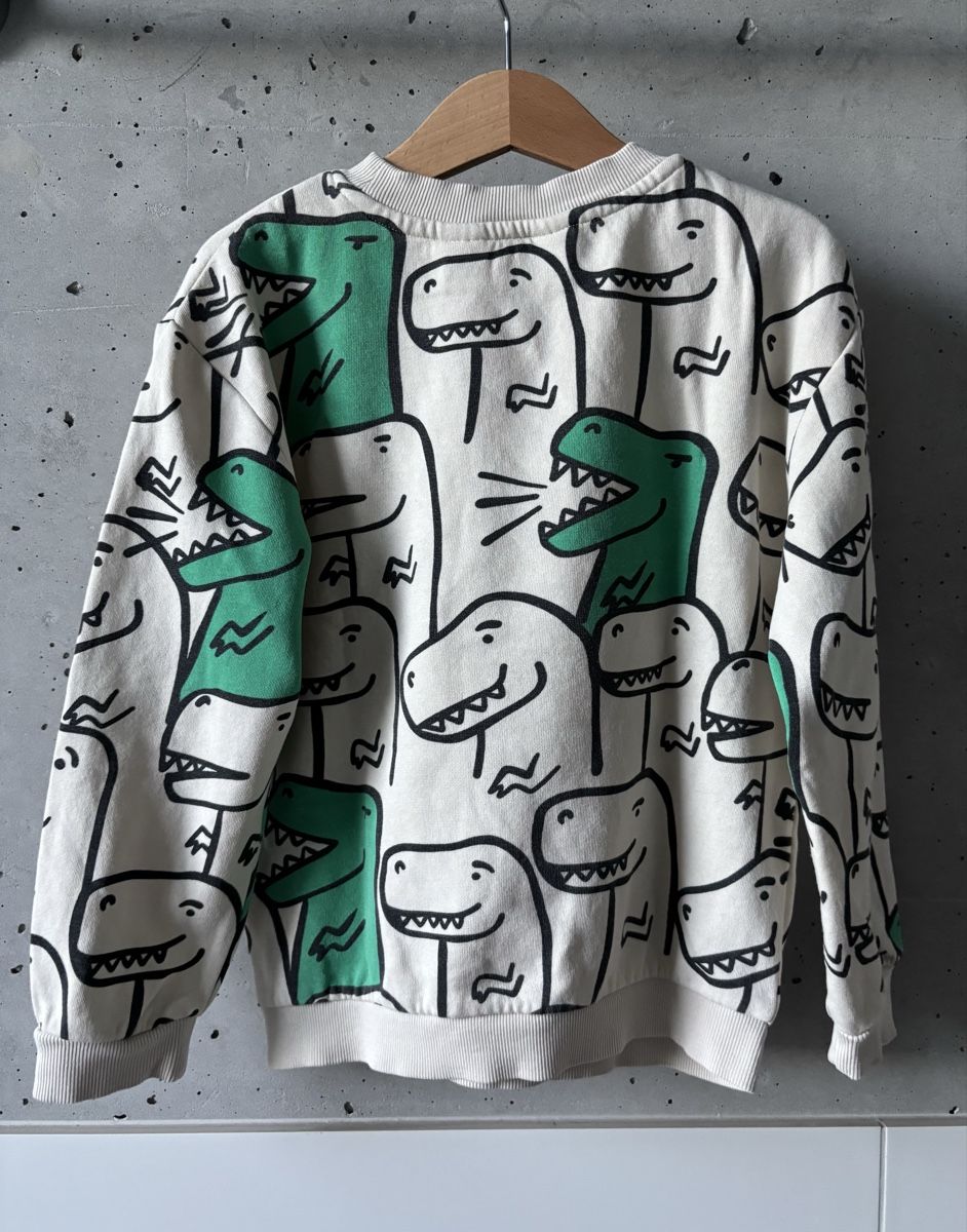 H&M Pulls et sweat-shirts: Pullover H&M 110 116 beige Dino  – D'occasion à Rebstein par wendy321meins 1